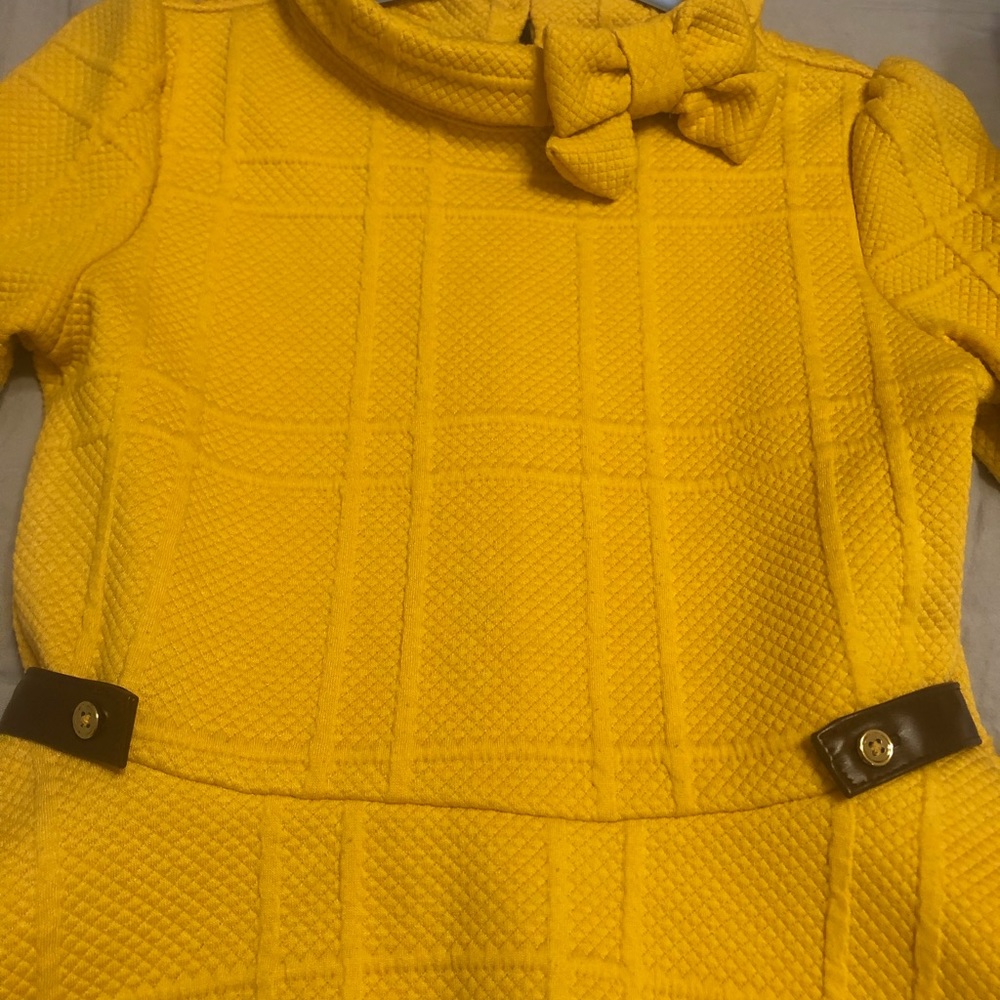 Janie and Jack fall dress size 10
